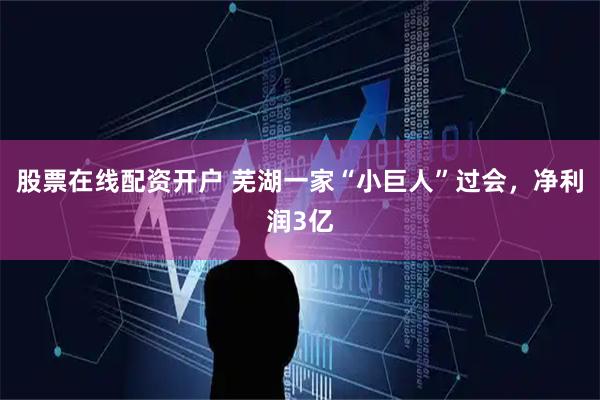 股票在线配资开户 芜湖一家“小巨人”过会，净利润3亿