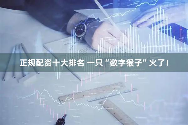 正规配资十大排名 一只“数字猴子”火了！